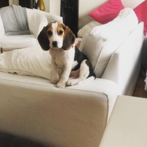 SASHA : FEMALE